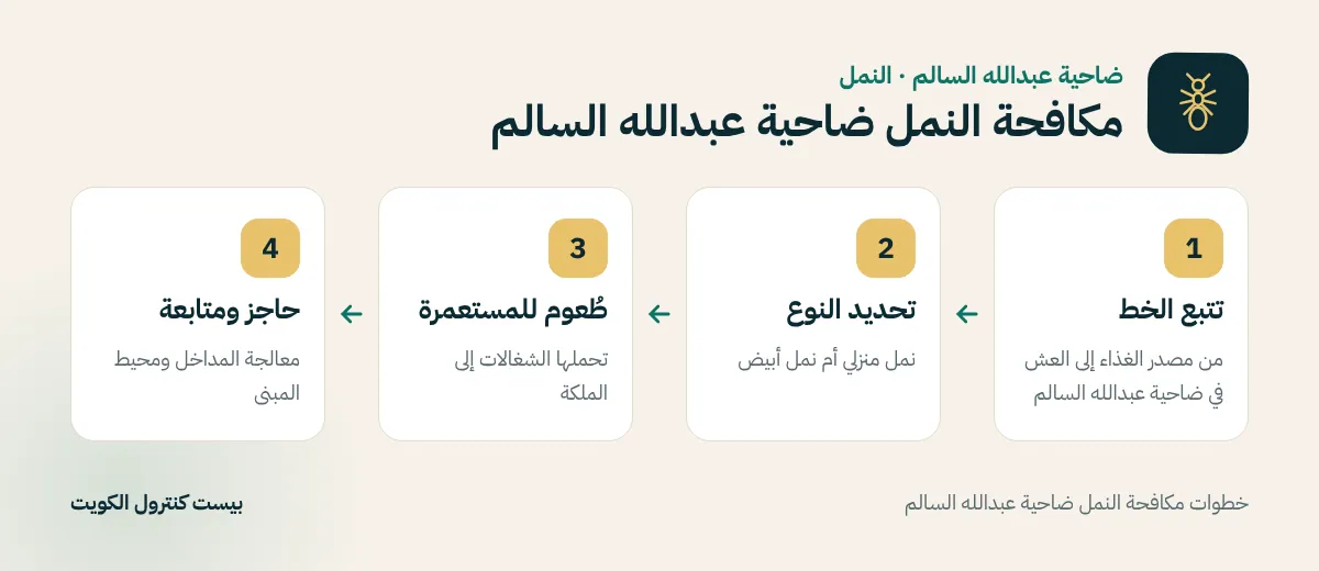 خطوات مكافحة النمل ضاحية عبدالله السالم