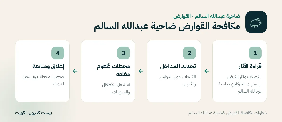 خطوات مكافحة القوارض ضاحية عبدالله السالم