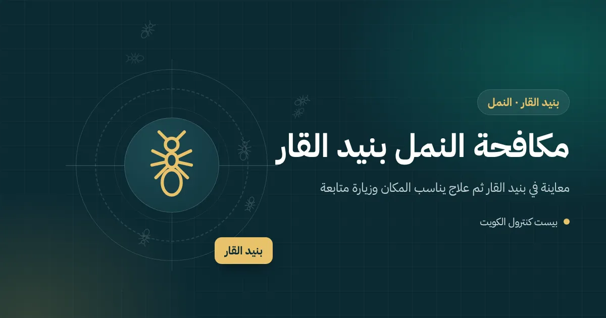 رسم توضيحي لنمل يتجه نحو قطعة بسكويت تحت سرير طفل في شقة ببنيد القار