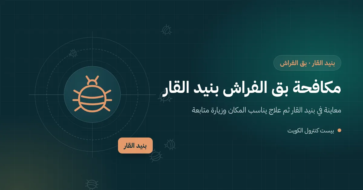 مصباح فحص مسلط على حافة مرتبة طفل في غرفة نوم بشقة في بنيد القار، في رسم يوضح البحث عن بق الفراش