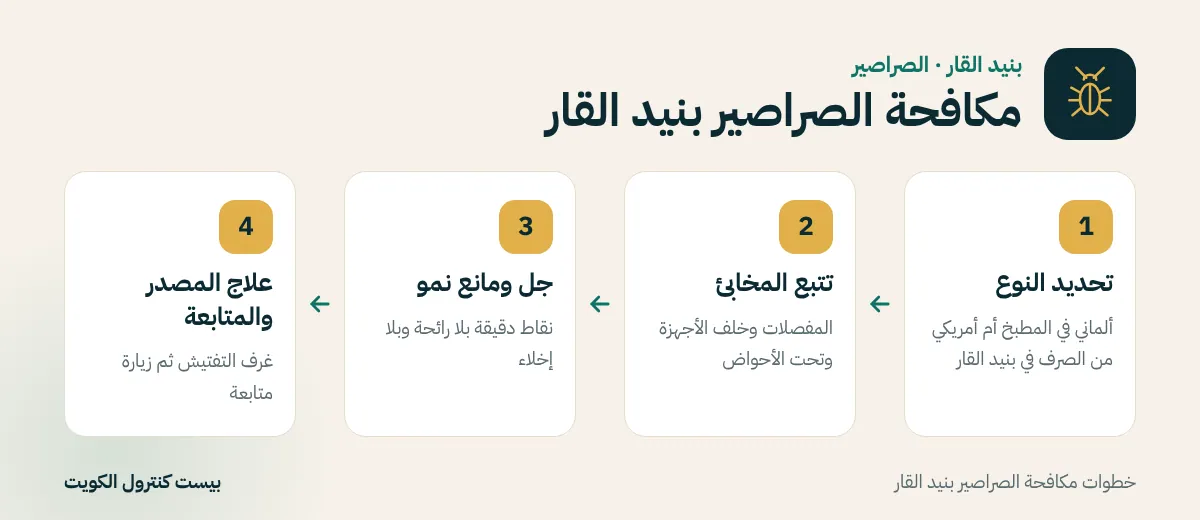 خطوات مكافحة الصراصير بنيد القار