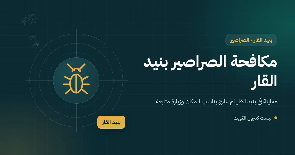 صرصور بني كبير يطل من فتحة تصريف أرضية في حمام شقة ببنيد القار، رسم توضيحي