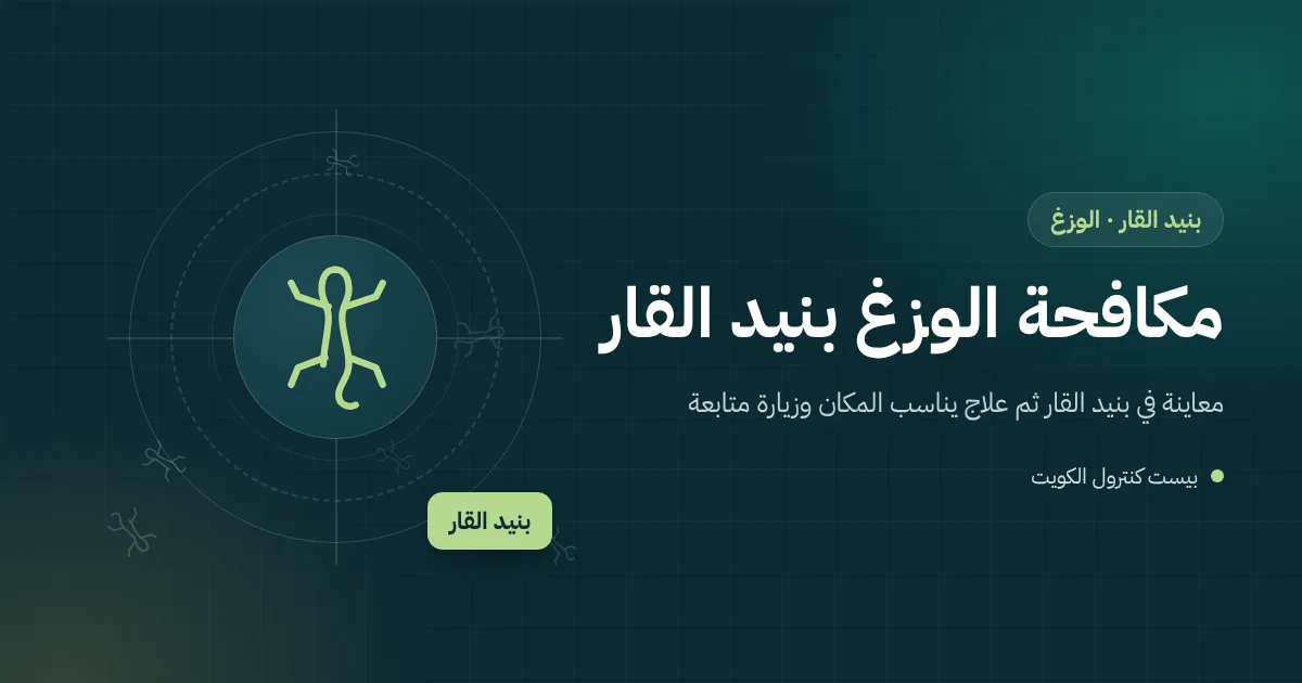 رسم توضيحي لوزغ قرب مصباح شرفة شقة عائلية في بنيد القار مساءً