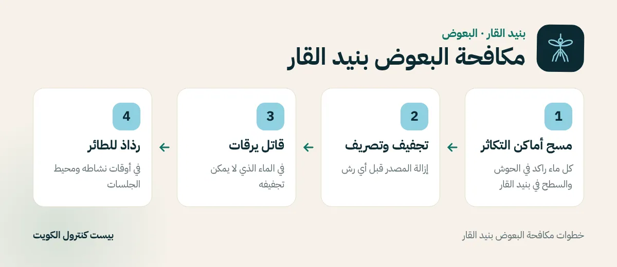 خطوات مكافحة البعوض بنيد القار