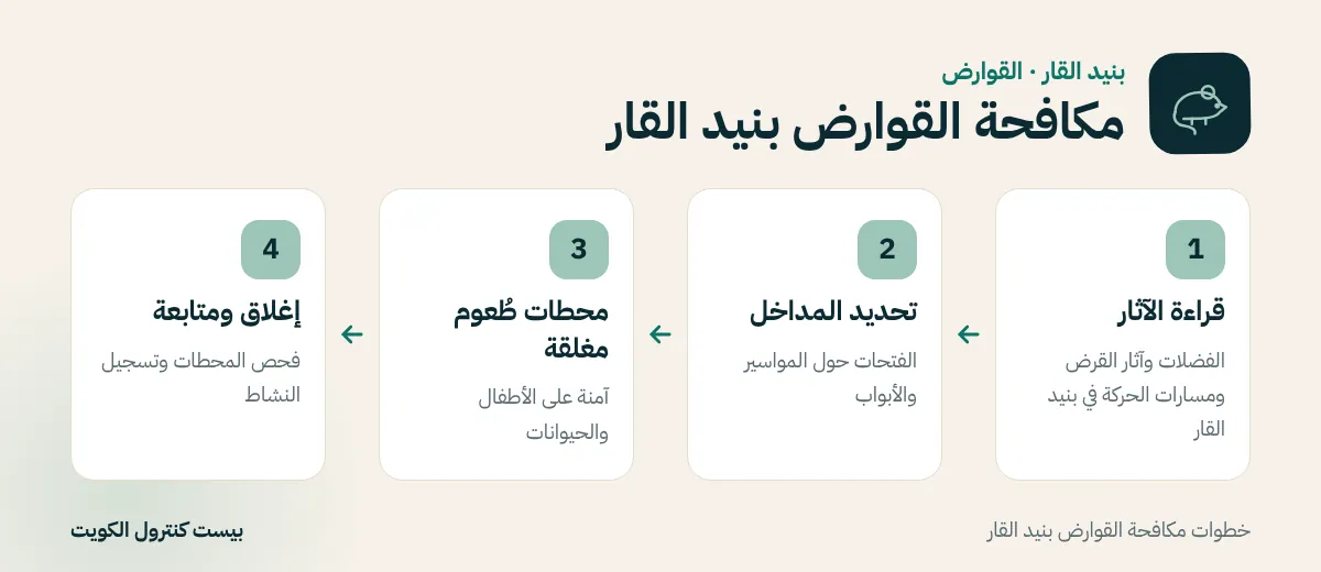 خطوات مكافحة القوارض بنيد القار