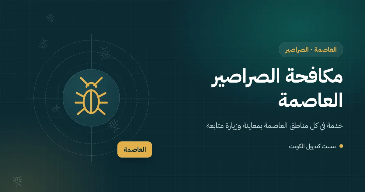 رسم توضيحي لصرصور قرب بالوعة حوش فيلا وخلفه مطبخ مطعم في مدينة الكويت