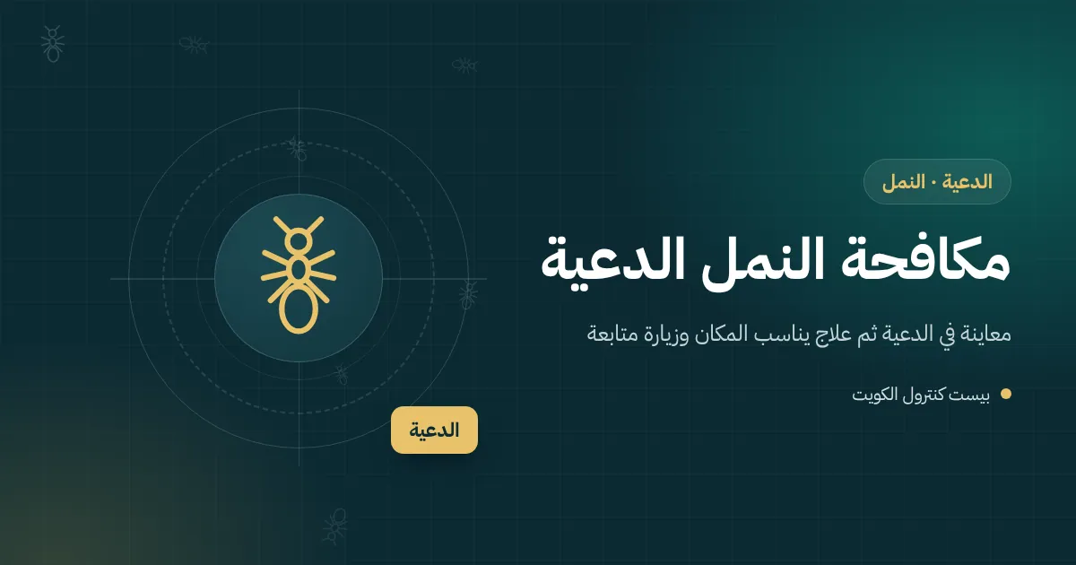 رسم توضيحي لأجنحة نمل متساقطة قرب إطار نافذة خشبي في بيت بالدعية