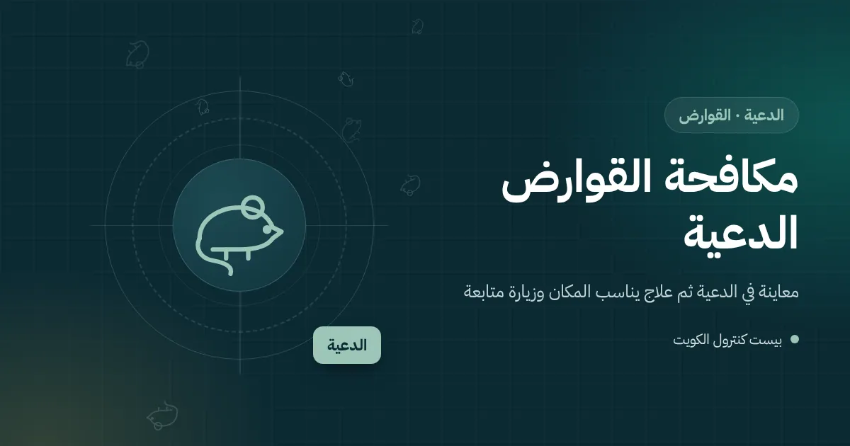 رسم توضيحي لسرداب فيه كراتين مخزنة ومصيدة فئران بجوار الجدار في بيت بالدعية