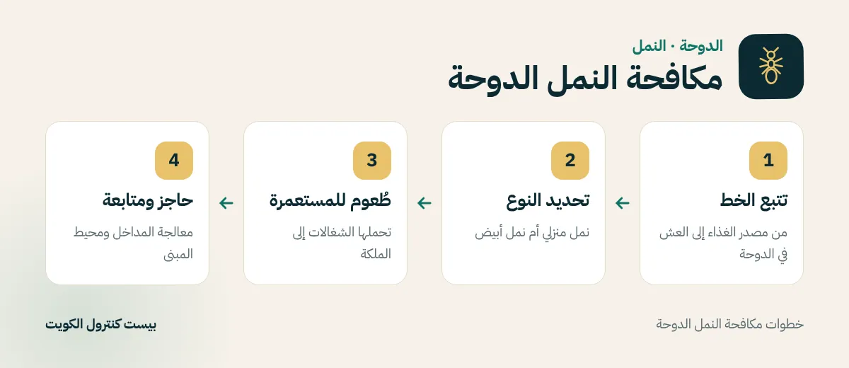 خطوات مكافحة النمل الدوحة