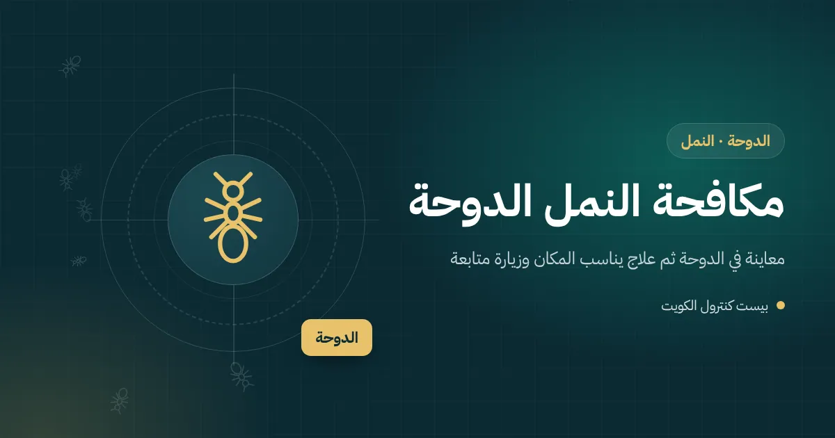 رسم توضيحي يظهر ممرات طينية للنمل الأبيض تصعد إطار باب خشبي قرب الأرض في بيت ساحلي بالدوحة