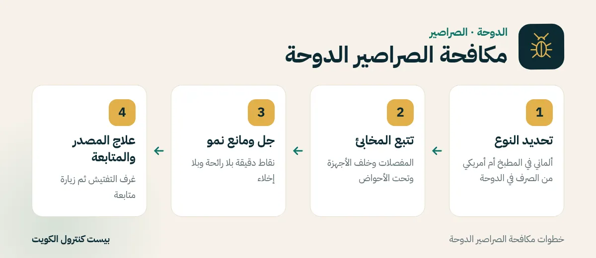 خطوات مكافحة الصراصير الدوحة