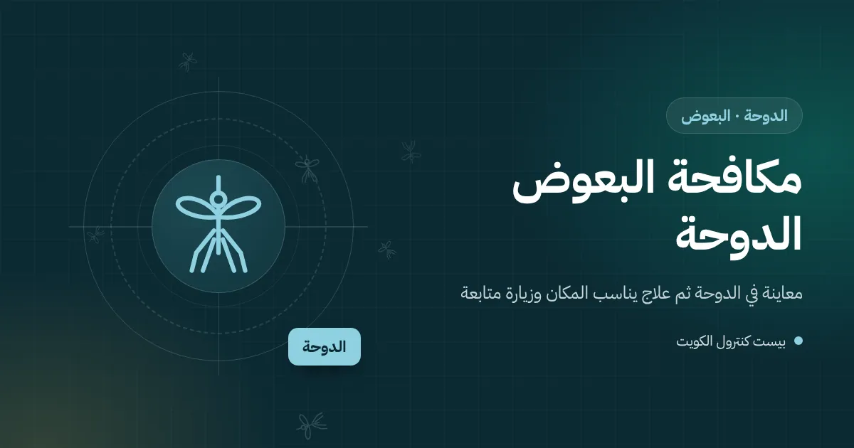 رسم توضيحي لبركة مطر في حوش بيت ساحلي بالدوحة يتجمع حولها البعوض ونافذة بشبك تالف