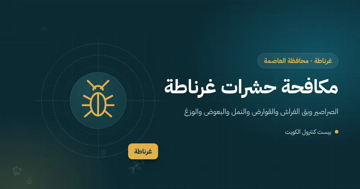 رسم توضيحي لبيت في غرناطة يظهر مقطعًا لسقف جبسي ومطبخ مجدد وفني يفحص الفراغات بمصباح يدوي