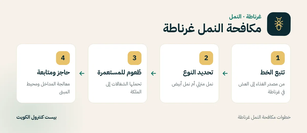 خطوات مكافحة النمل غرناطة