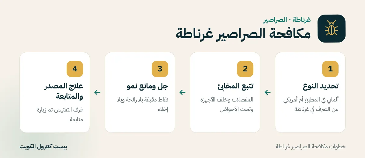 خطوات مكافحة الصراصير غرناطة