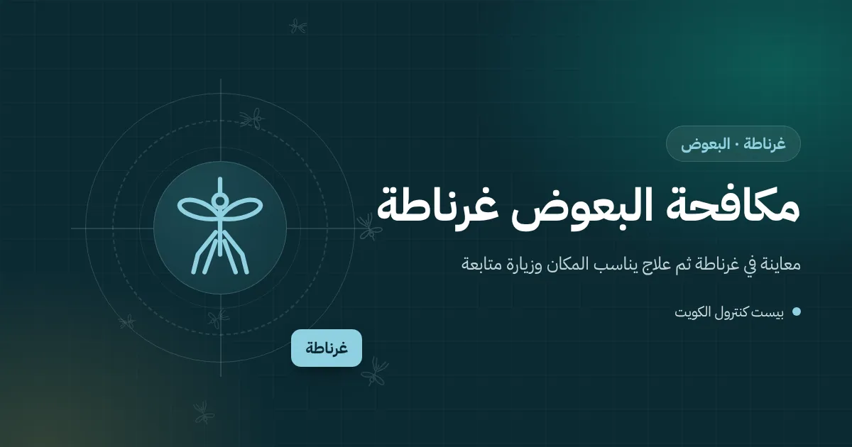 رسم توضيحي لمقطع بيت في غرناطة من السرداب إلى السطح مع نقاط ماء راكد يتكاثر فيها البعوض