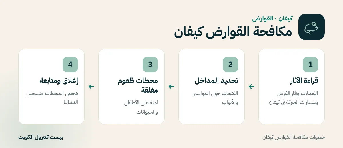 خطوات مكافحة القوارض كيفان