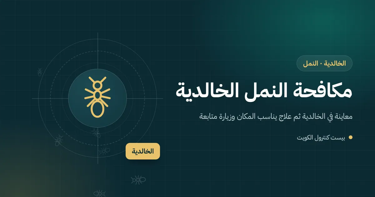 رسم توضيحي لطابور نمل يعبر عتبة ديوانية في الخالدية متجهًا إلى صحن تمر على طاولة القهوة
