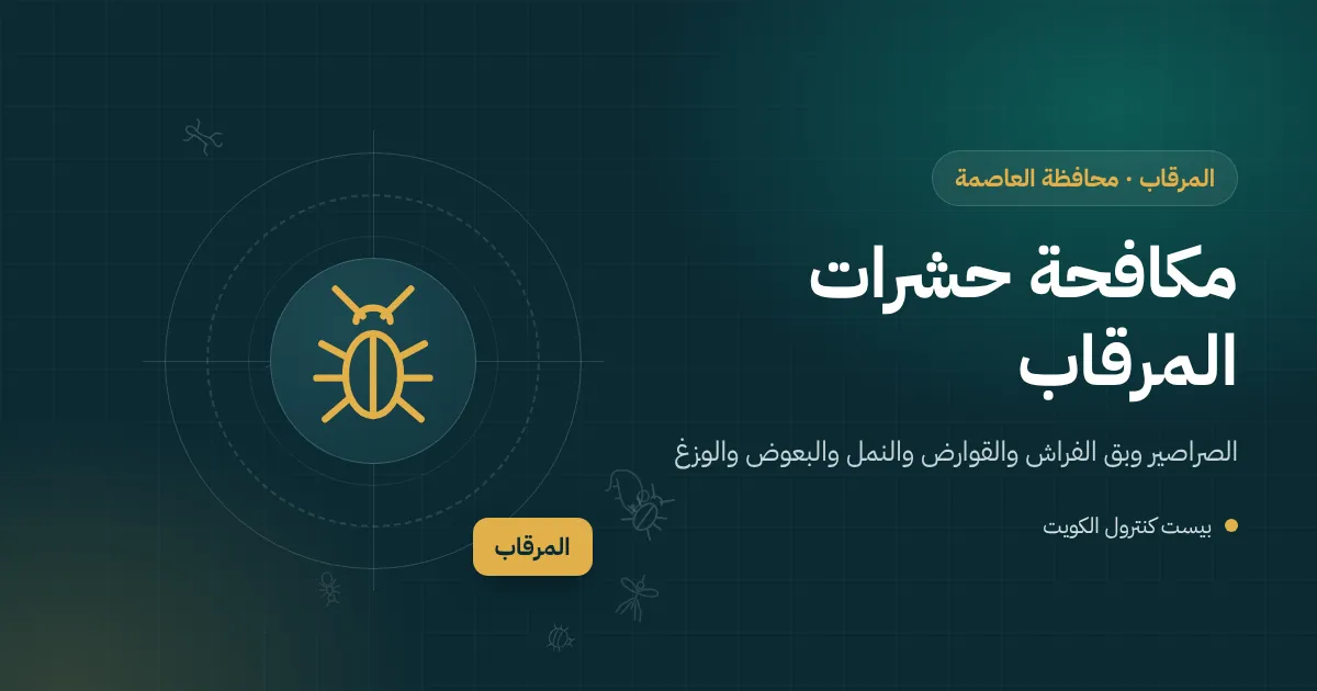 رسم توضيحي لعمارة سكنية قديمة في المرقاب يظهر فيها المنور والسرداب ومحل في الطابق الأرضي