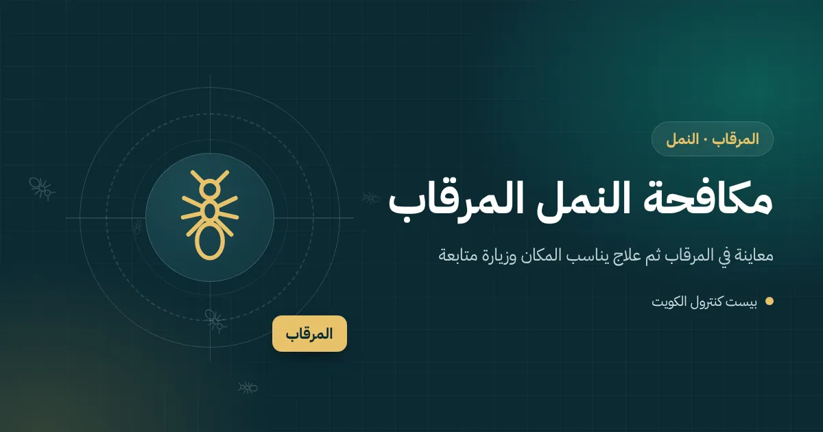 رسم توضيحي لنمل يخرج من شق بين البلاط والجدار في مطبخ شقة قديمة بالمرقاب