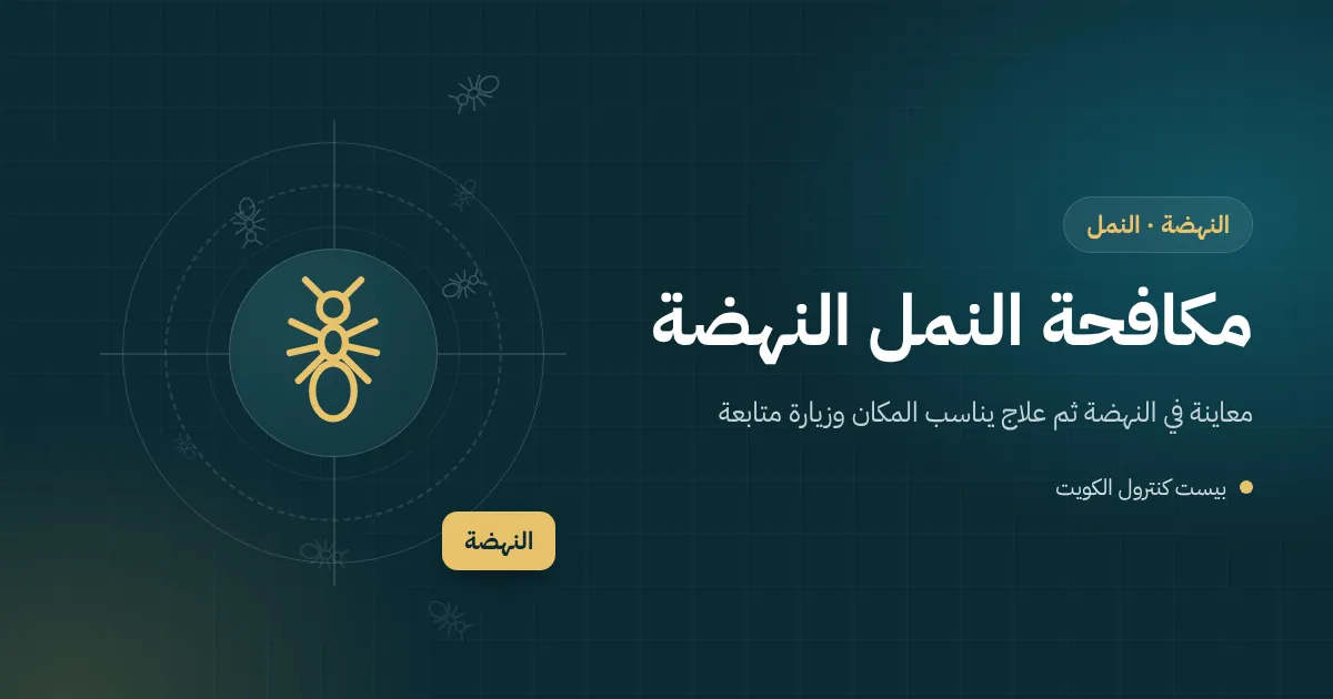 رسم توضيحي لعتبة باب خلفي في بيت بالنهضة يتكوم عليها رمل ويعبرها خط نمل نحو الداخل