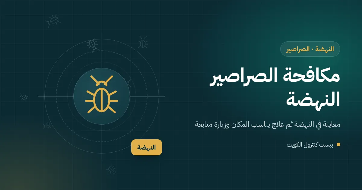 رسم توضيحي لحمام ضيوف غير مستخدم في بيت بالنهضة وبالوعة جافة يخرج منها صرصور وفني يصب الماء فيها