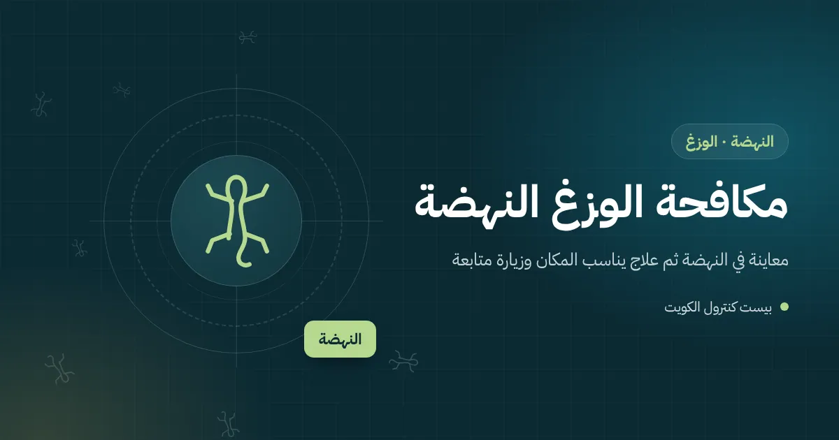 رسم توضيحي لبيت مضاء ليلًا في النهضة وسط أرض مظلمة مع حشرات حول مصباح السور ووزغ يقترب منها