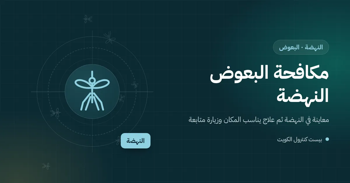 رسم توضيحي لحوش بيت في النهضة بعد المطر مع بركة صغيرة وبرميل مهمل في أرض مجاورة وبعوض فوقهما