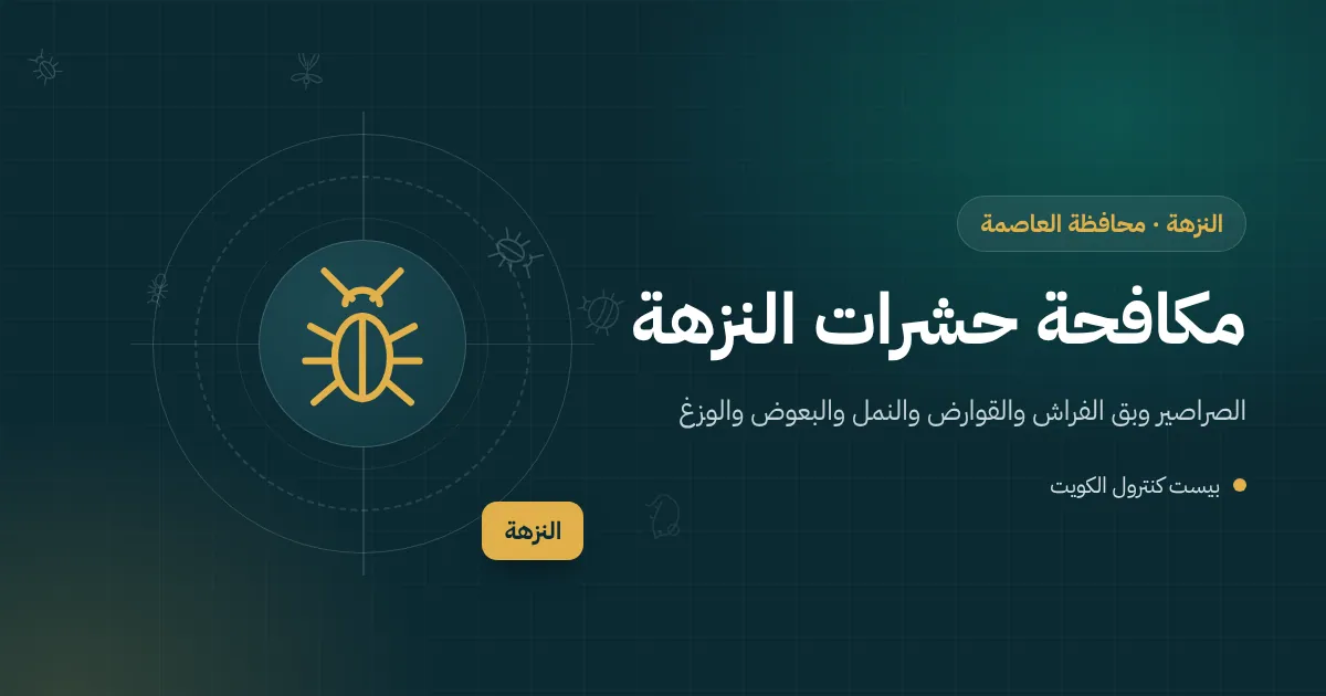 رسم توضيحي لسطح فيلا في النزهة بخزانات مياه ووحدات تكييف ومزراب وحشرات حولها