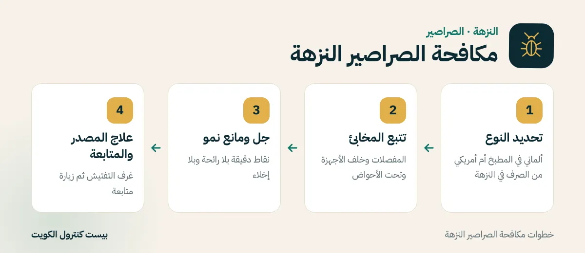 خطوات مكافحة الصراصير النزهة