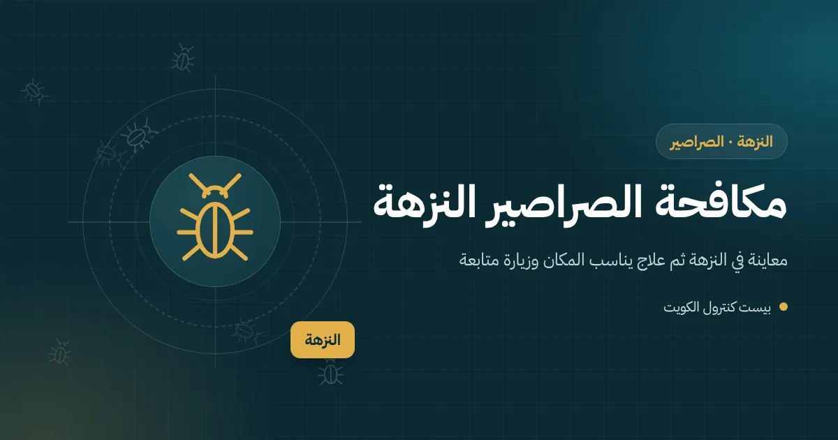 رسم توضيحي لأنبوب صرف عمودي على جدار فيلا في النزهة يتسلقه صرصور نحو السطح