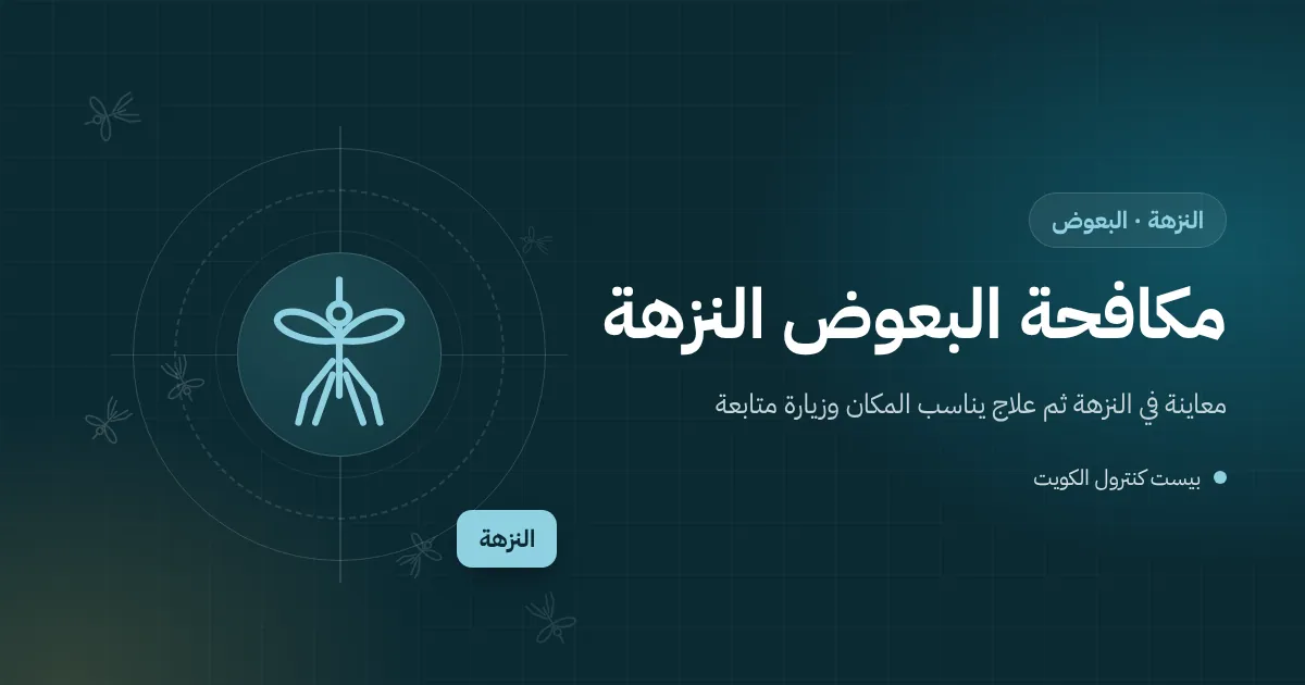 رسم توضيحي لخزان مياه ووحدة تكييف على سطح فيلا في النزهة وماء متجمع يحوم فوقه البعوض
