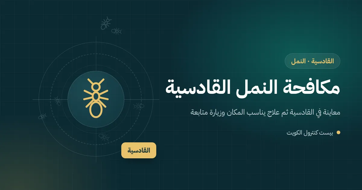 رسم توضيحي لإطار باب خشبي قديم في فيلا بالقادسية عليه أنفاق نمل أبيض وطابور نمل قرب المطبخ
