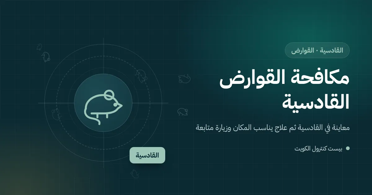 رسم توضيحي لمخزن مليء بالكراتين في فيلا قديمة بالقادسية تظهر عنده آثار فأر