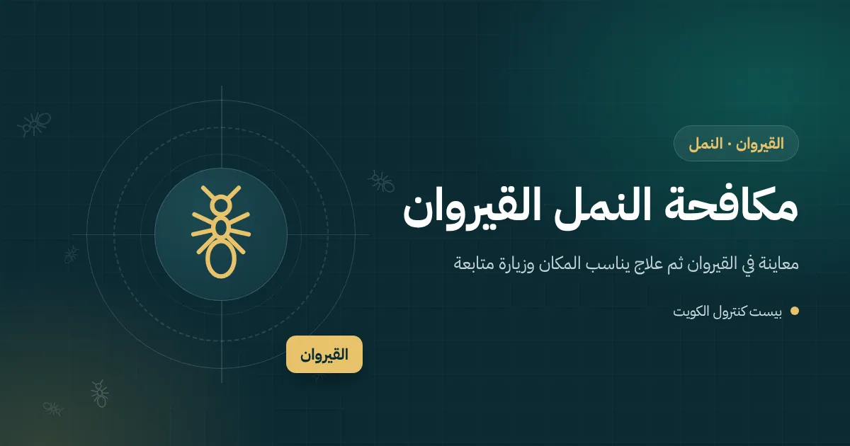 رسم توضيحي لشتلة صغيرة في حديقة بالقيروان يصعد عليها النمل وأنبوب تنقيط يمتد نحو جدار البيت