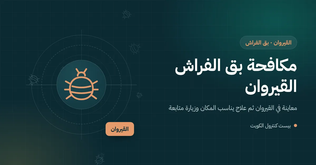 رسم توضيحي لمجلس بجلسة عربية في بيت بالقيروان وفني يفحص طيات المساند بمصباح قوي