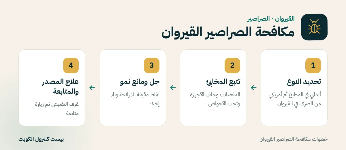 خطوات مكافحة الصراصير القيروان