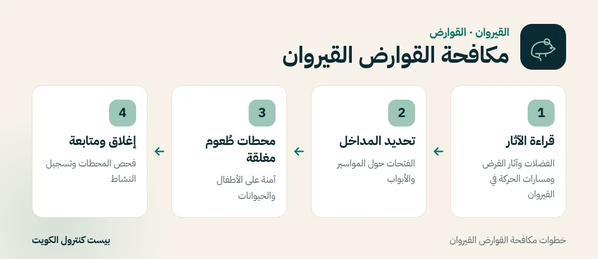 خطوات مكافحة القوارض القيروان