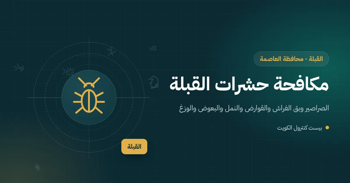 رسم توضيحي لسوق تقليدي بممرات ضيقة ومحلات ومخازن في منطقة القبلة مع فني مكافحة