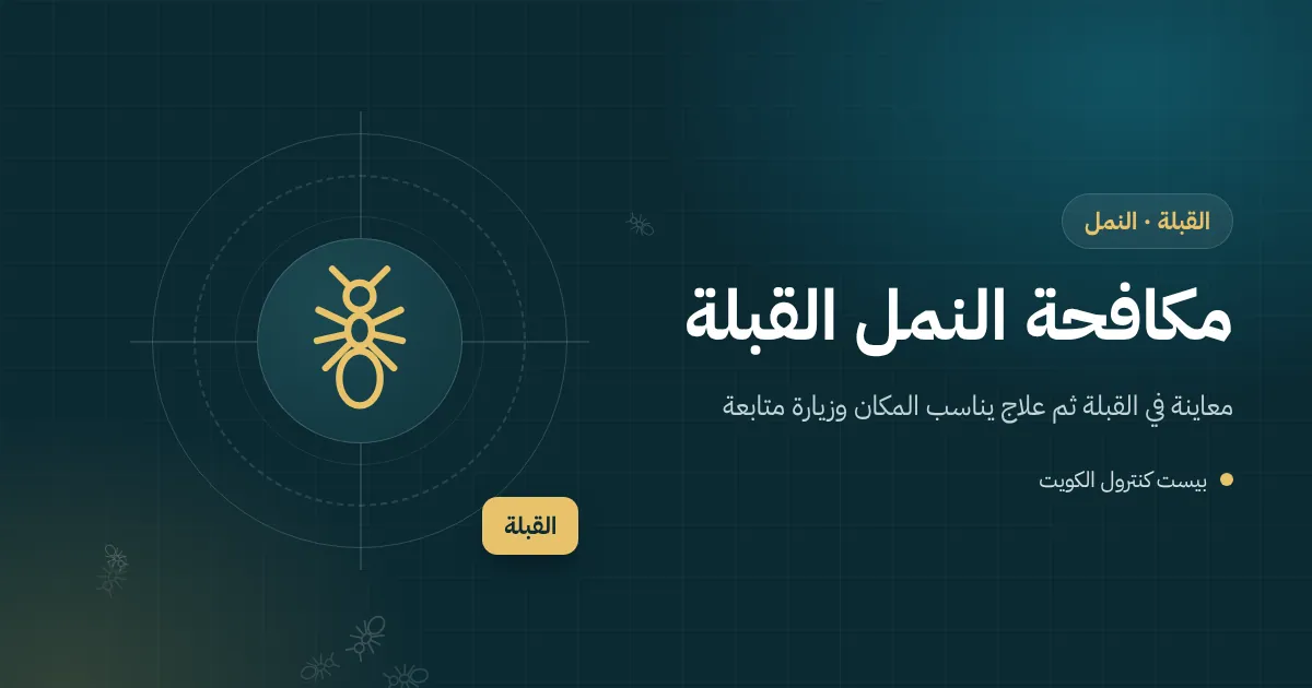 رسم توضيحي لنمل يتجه نحو صندوق تمور على رف خشبي قديم في محل بالقبلة