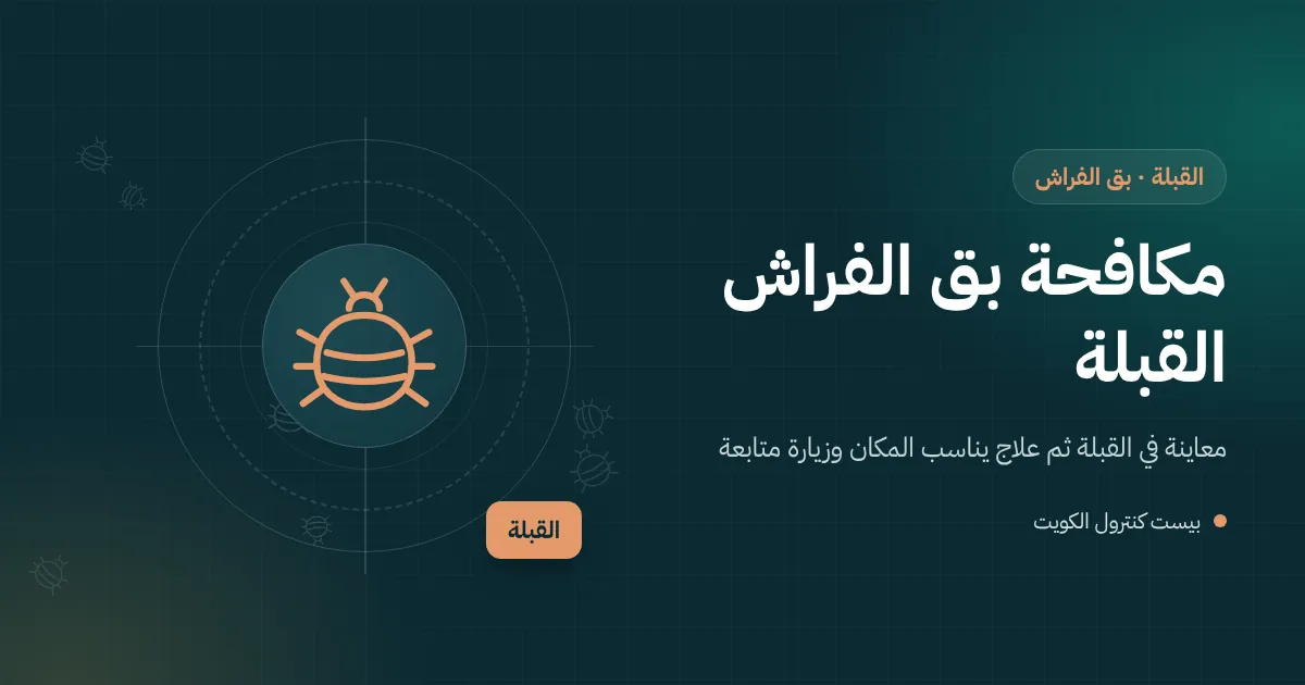 رسم توضيحي لفني يفحص مرتبة في غرفة سكن صغيرة فوق محل تجاري في القبلة
