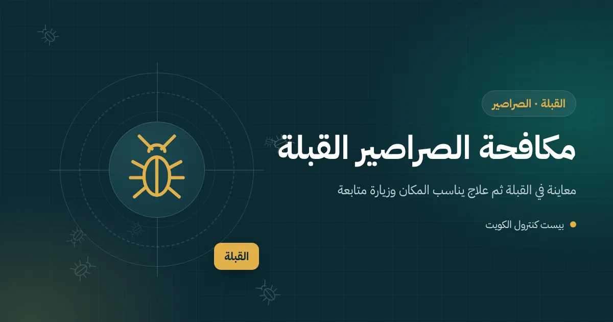 رسم توضيحي لصراصير بين كراتين مكدسة في مخزن خلفي لمحل تجاري قديم في القبلة