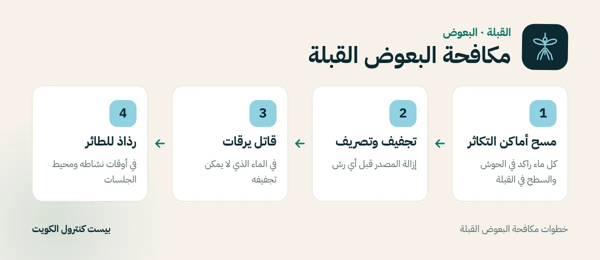خطوات مكافحة البعوض القبلة