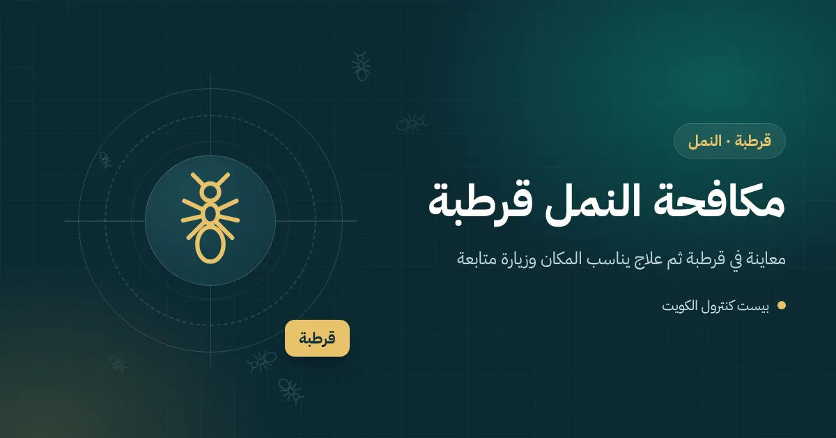 رسم توضيحي يتتبع خط نمل يخرج من تربة حوض زرع ويعبر بلاط الحديقة نحو باب مطبخ فيلا في قرطبة