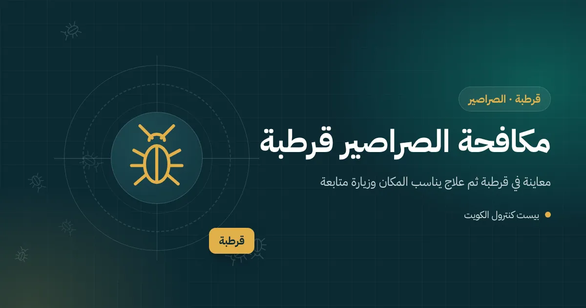 رسم توضيحي لصرصور يخرج من غرفة تفتيش في حوش فيلا بقرطبة مع شمس صيفية حارقة