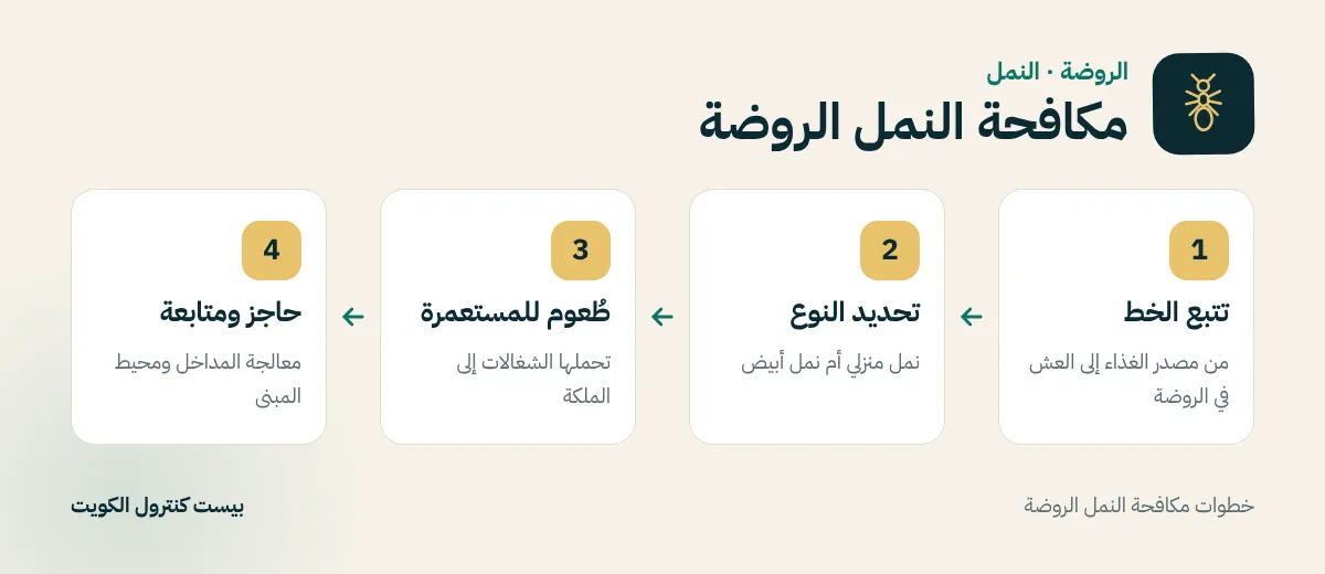 خطوات مكافحة النمل الروضة