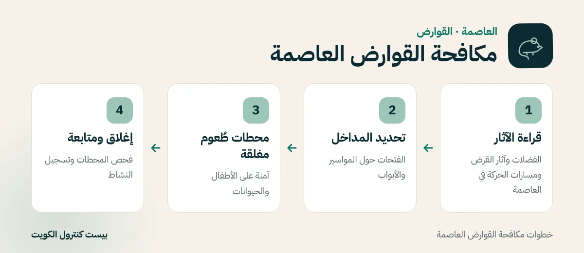 خطوات مكافحة القوارض العاصمة