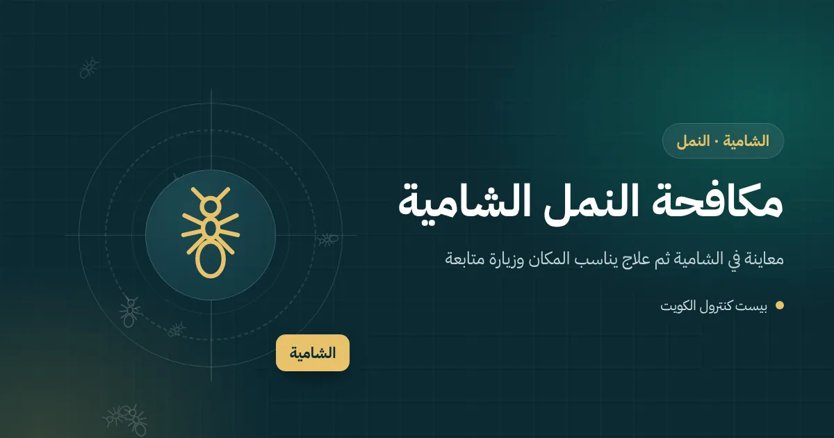 رسم توضيحي لطابور نمل يخرج من تربة حوض زرع جديد نحو باب مطبخ فيلا في الشامية مع قطع خشب بناء متروكة