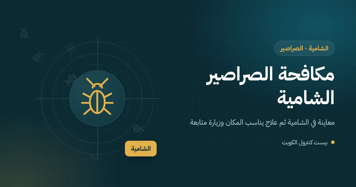 رسم توضيحي لحوش فيلا في الشامية يتسلل منه صرصور أمريكي عبر غطاء تفتيش متشقق وخلف السور موقع هدم
