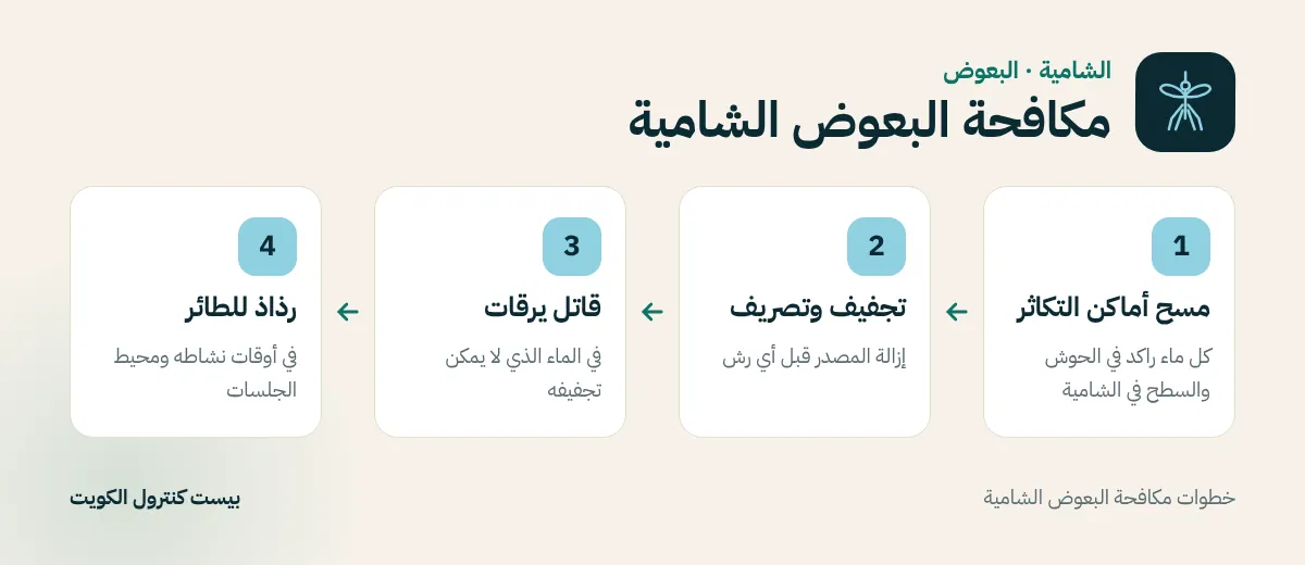 خطوات مكافحة البعوض الشامية